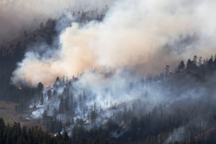 Cal/OSHA Wildfire Smoke Safety and Emergency Training