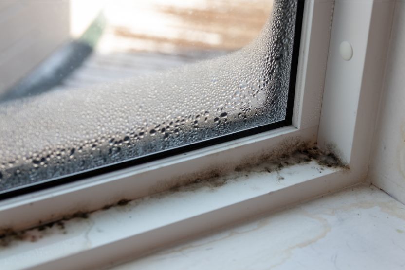 Mold Prevention and Remediation Awareness Training