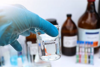 Essentials of Ammonia Positive Displacement Compressors Training