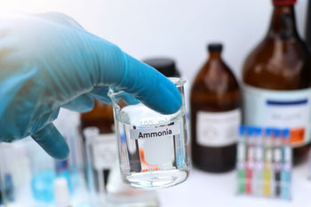 OSHA 8-Hour HAZWOPER and Safe Ammonia Handling Refresher Training